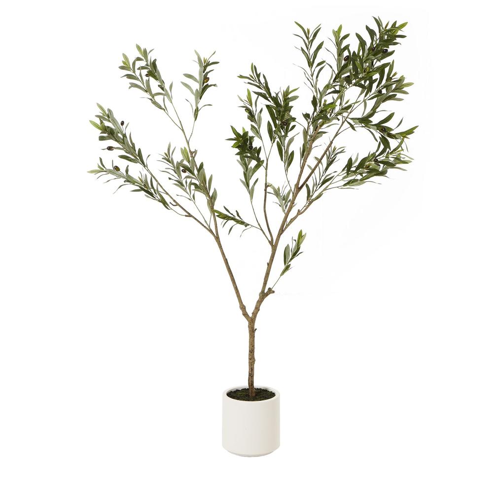 Apulia Olive Tree In White Pot Small