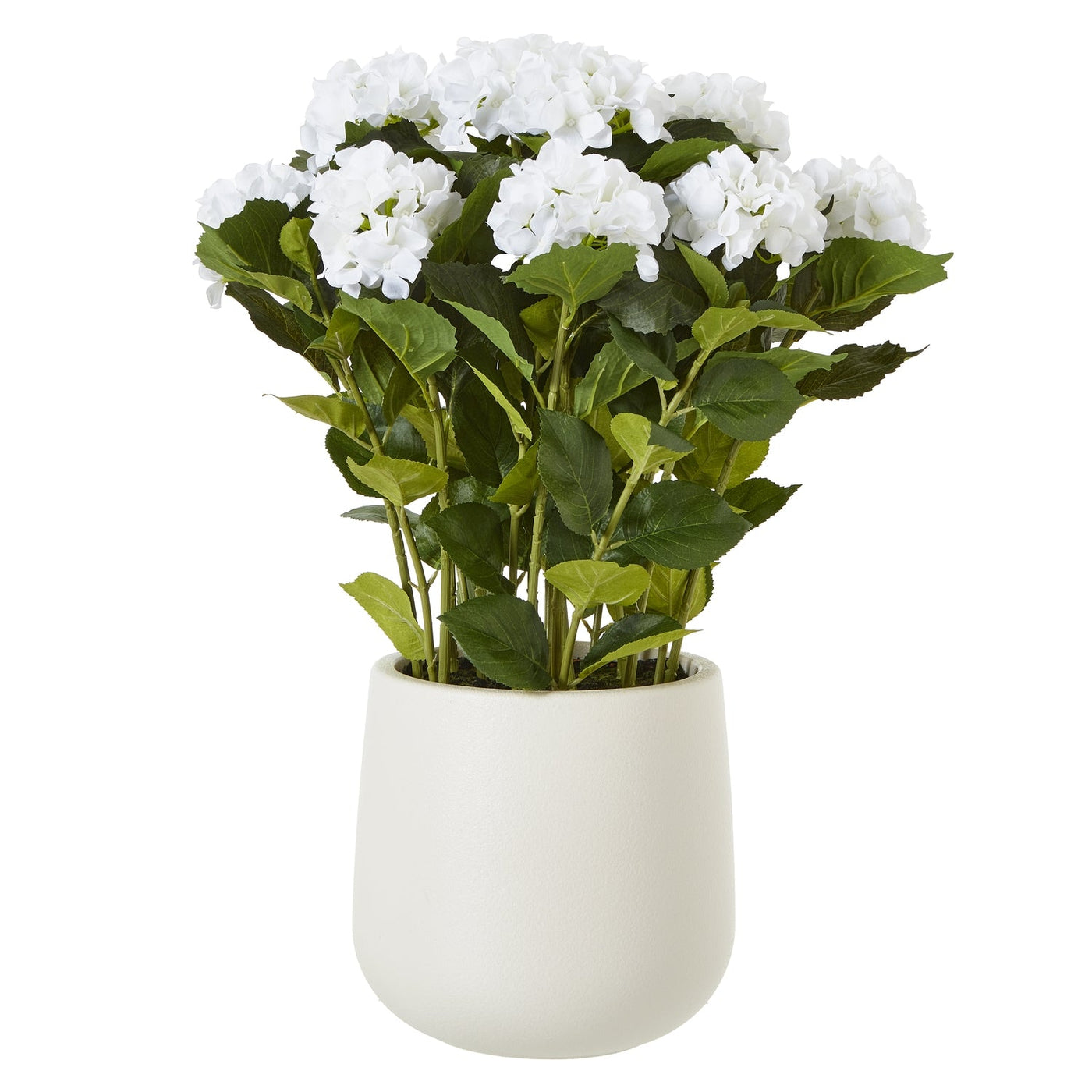 White Hydrangea Plant Pot