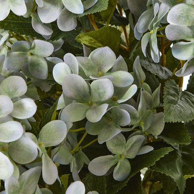 Green Hydrangea Plant Pot