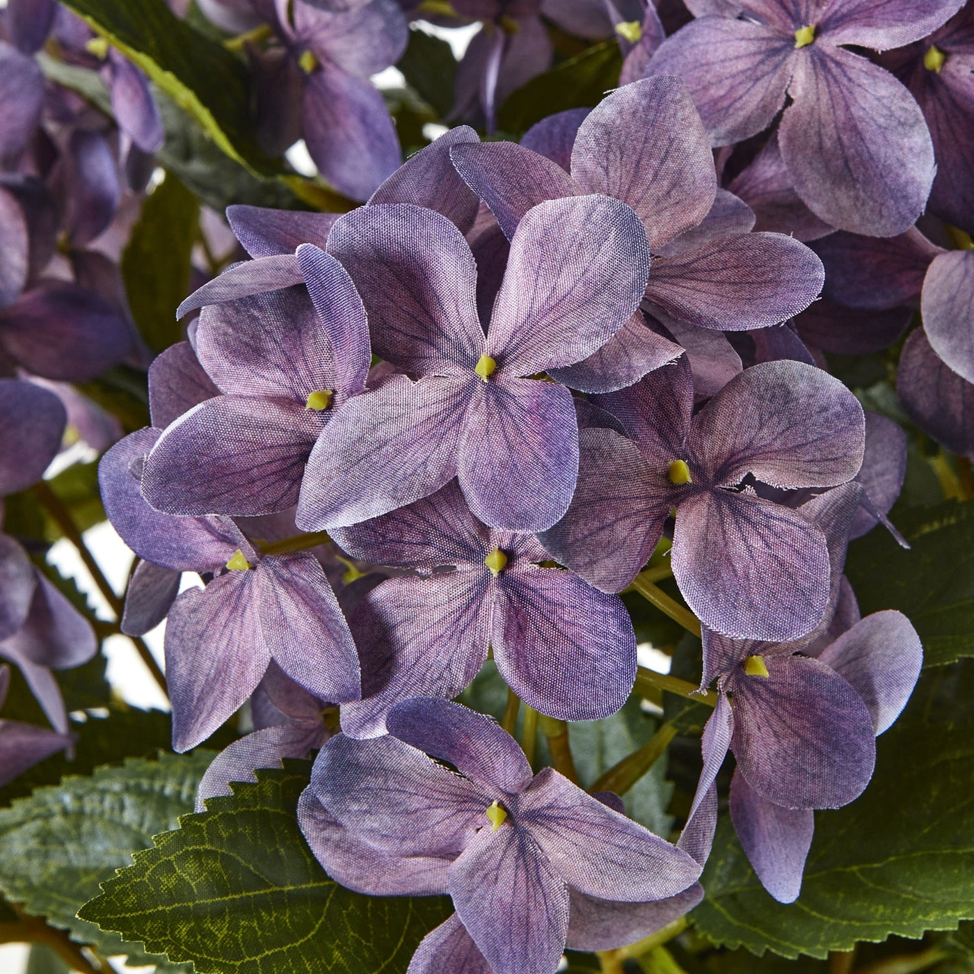 Purple Hydrangea Plant Pot