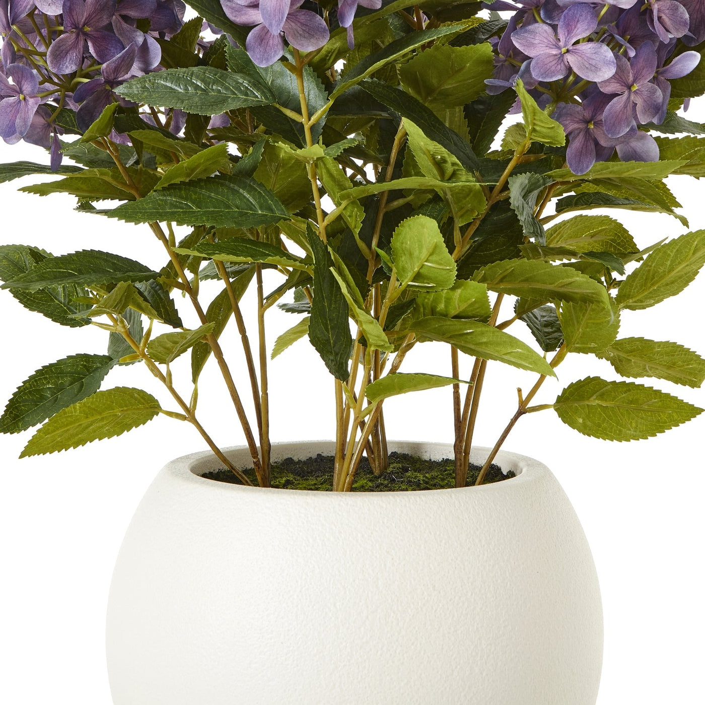 Purple Hydrangea Plant Pot