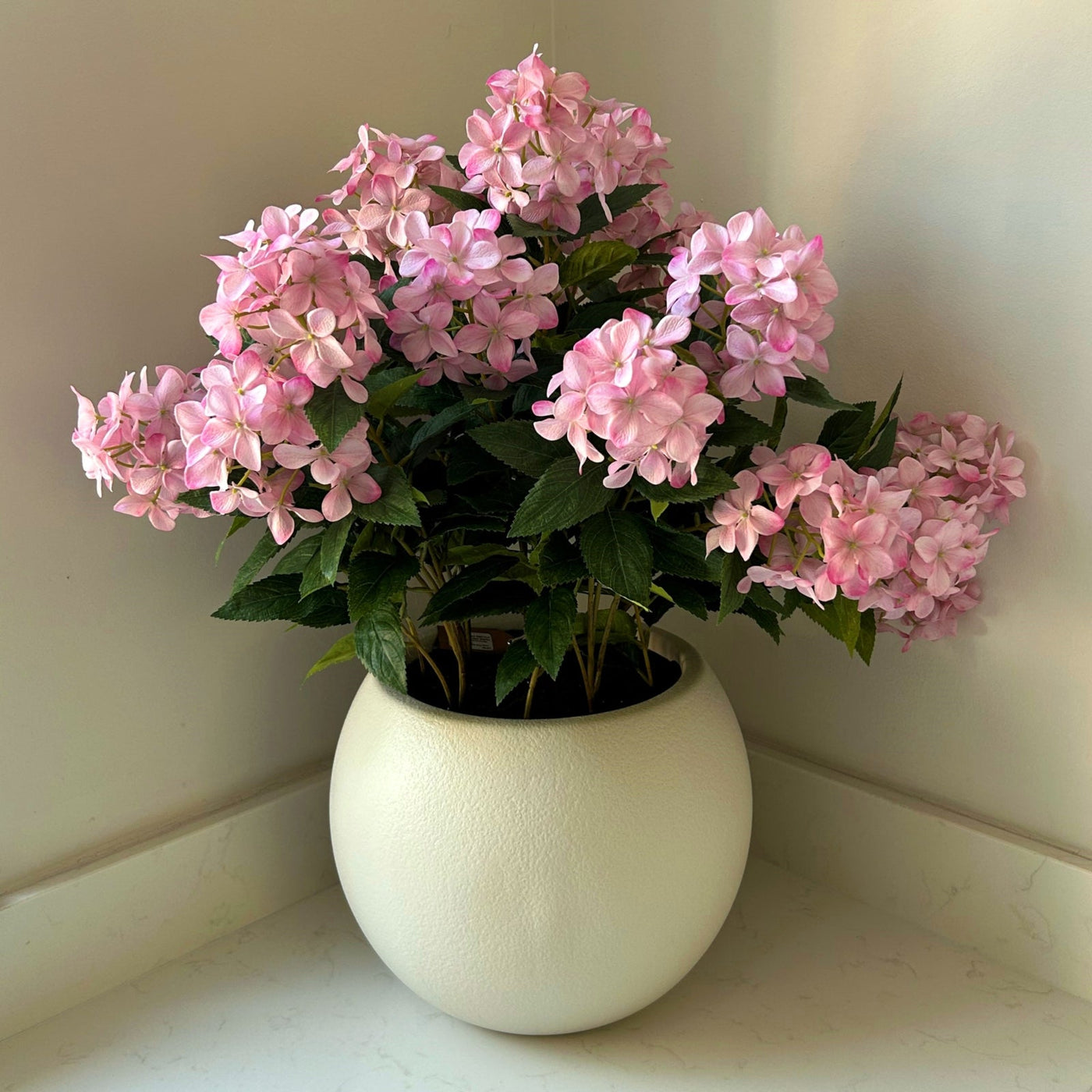 Pink Hydrangea Plant Pot