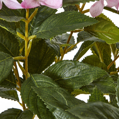 Pink Hydrangea Plant Pot