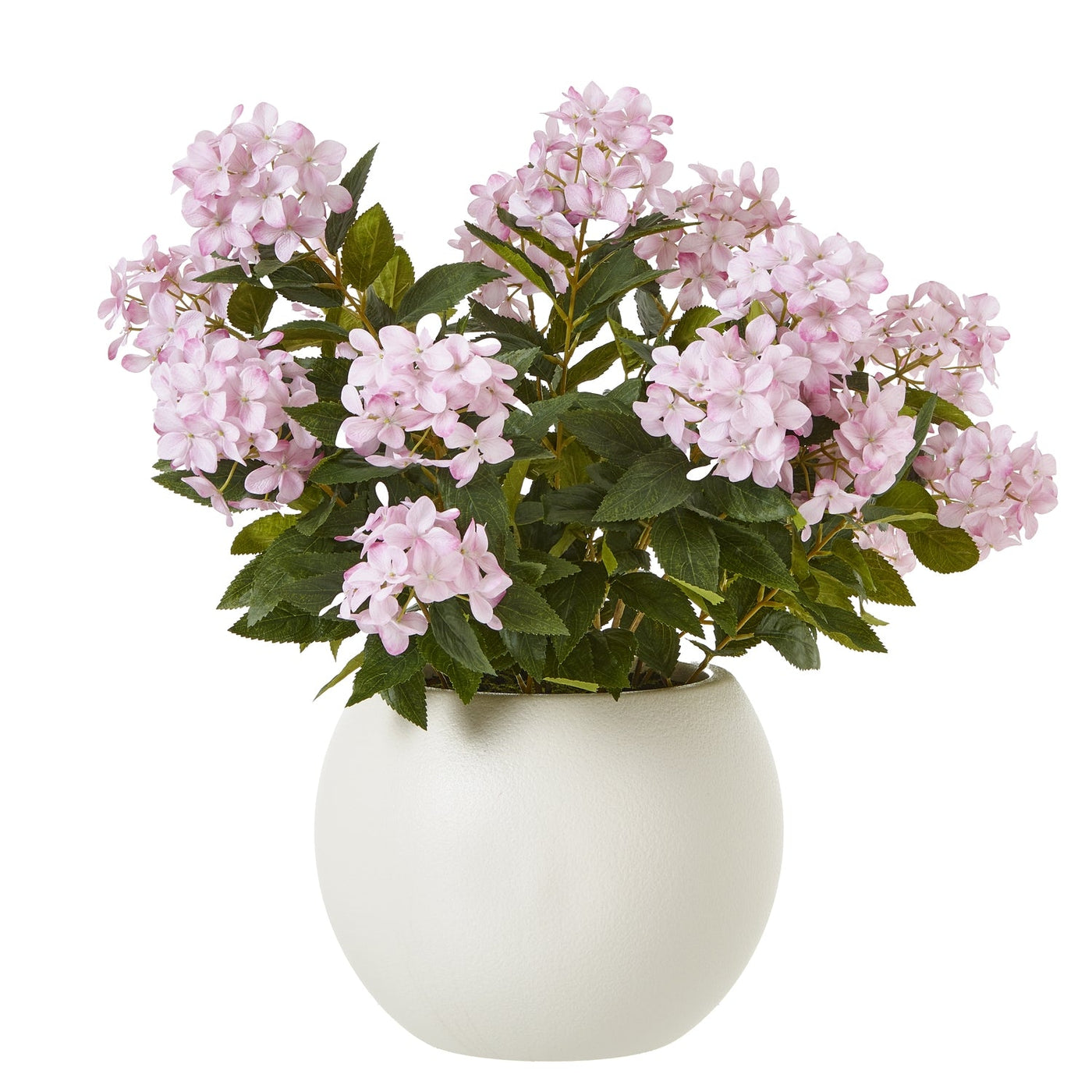 Pink Hydrangea Plant Pot