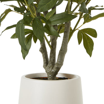 White Peony Bush Pot