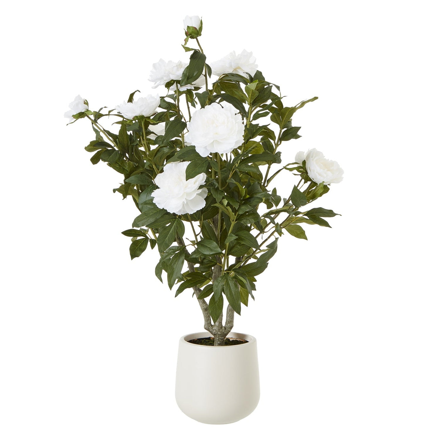 White Peony Bush Pot