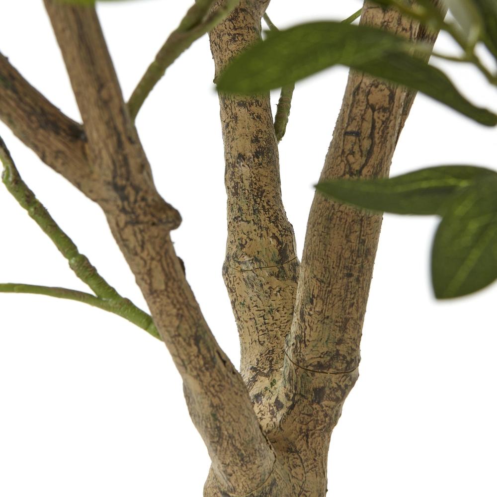 Apulia Olive Tree In White Pot Large