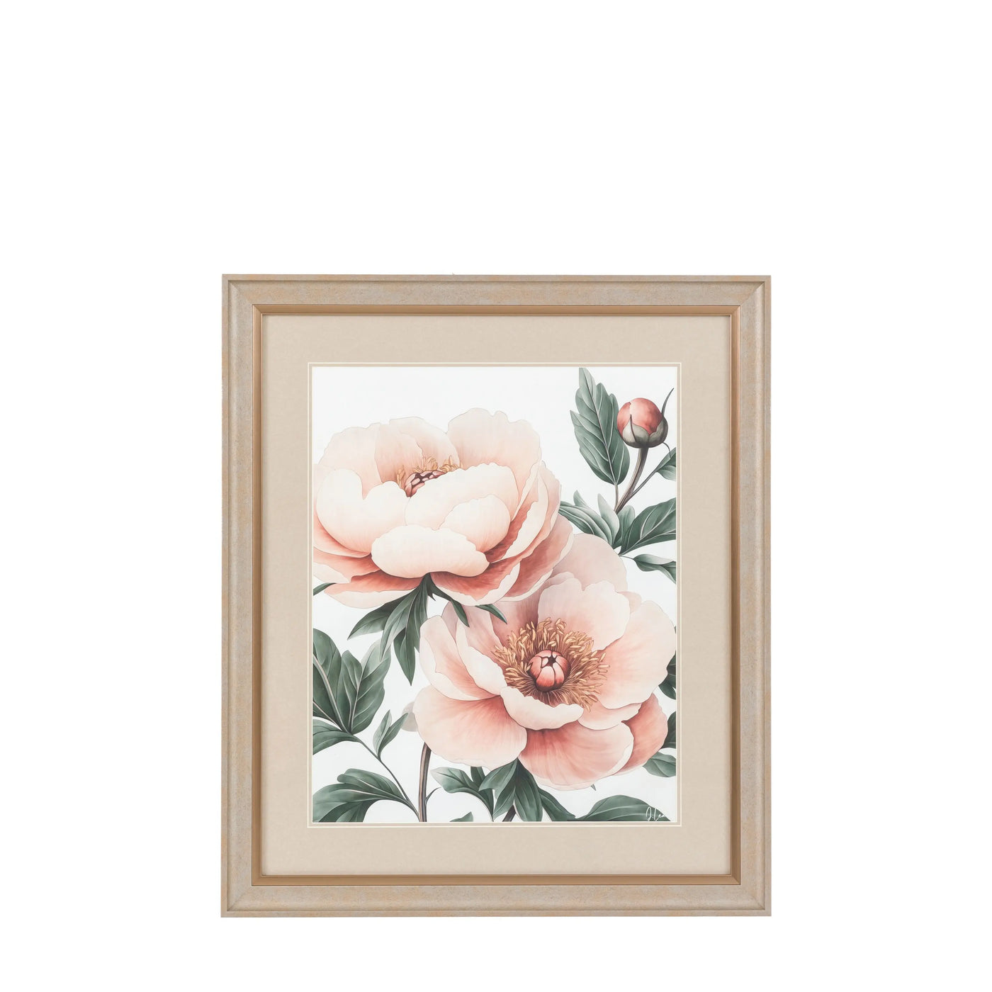Peony Framed Art Pack