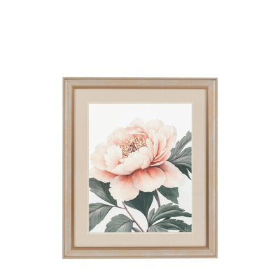 Peony Framed Art Pack