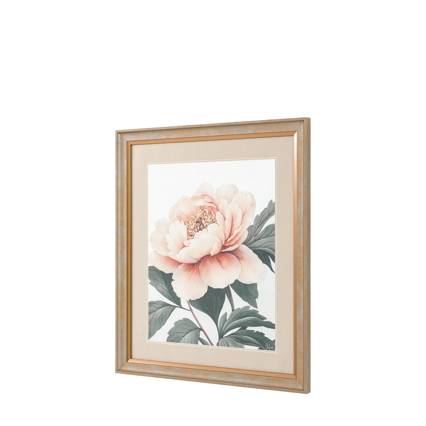 Peony Framed Art Pack