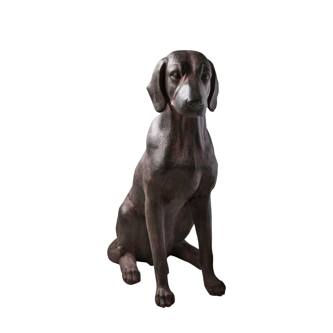 Digby Dog