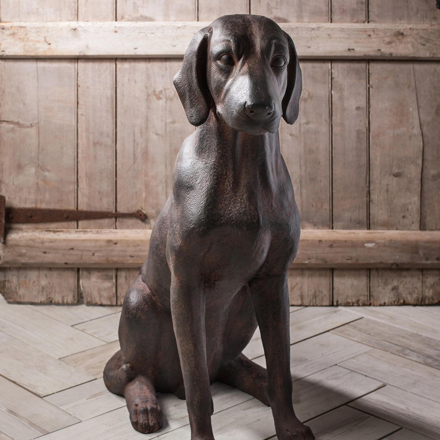 Digby Dog