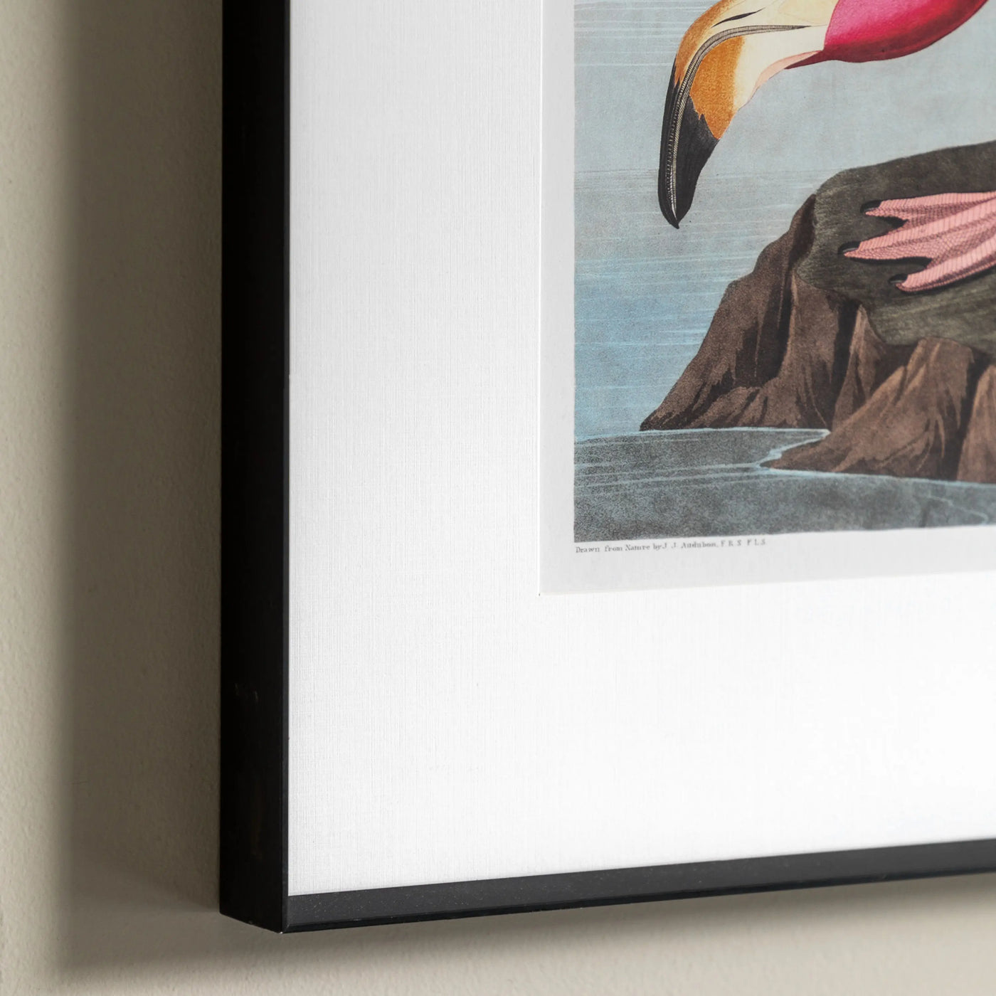 Wading Flamingo Framed Art