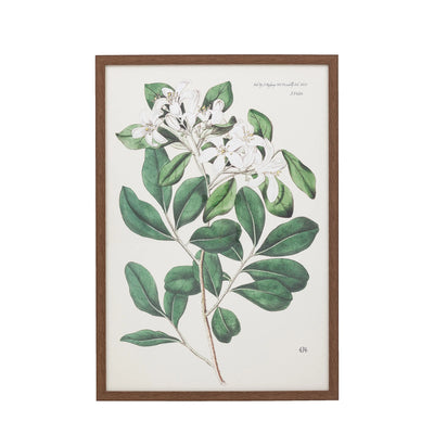 Foliage and Blooms Framed Art