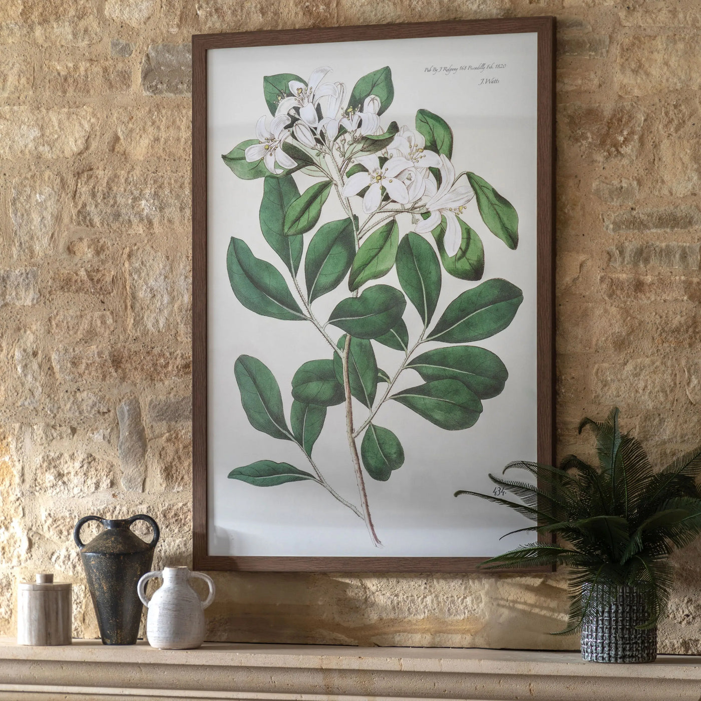 Foliage and Blooms Framed Art