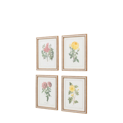 x4 Floral Quartet Framed Art