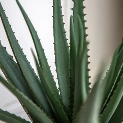 Faux Aloe Vera in Ceramic Pot