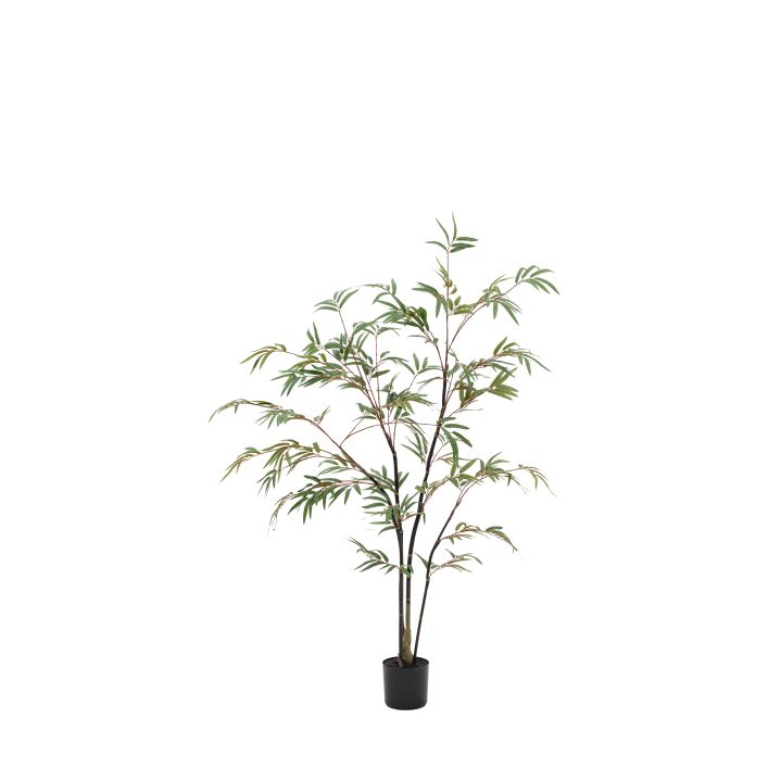 Potted Bamboo Tree Small