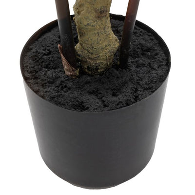 Potted Bamboo Tree Small