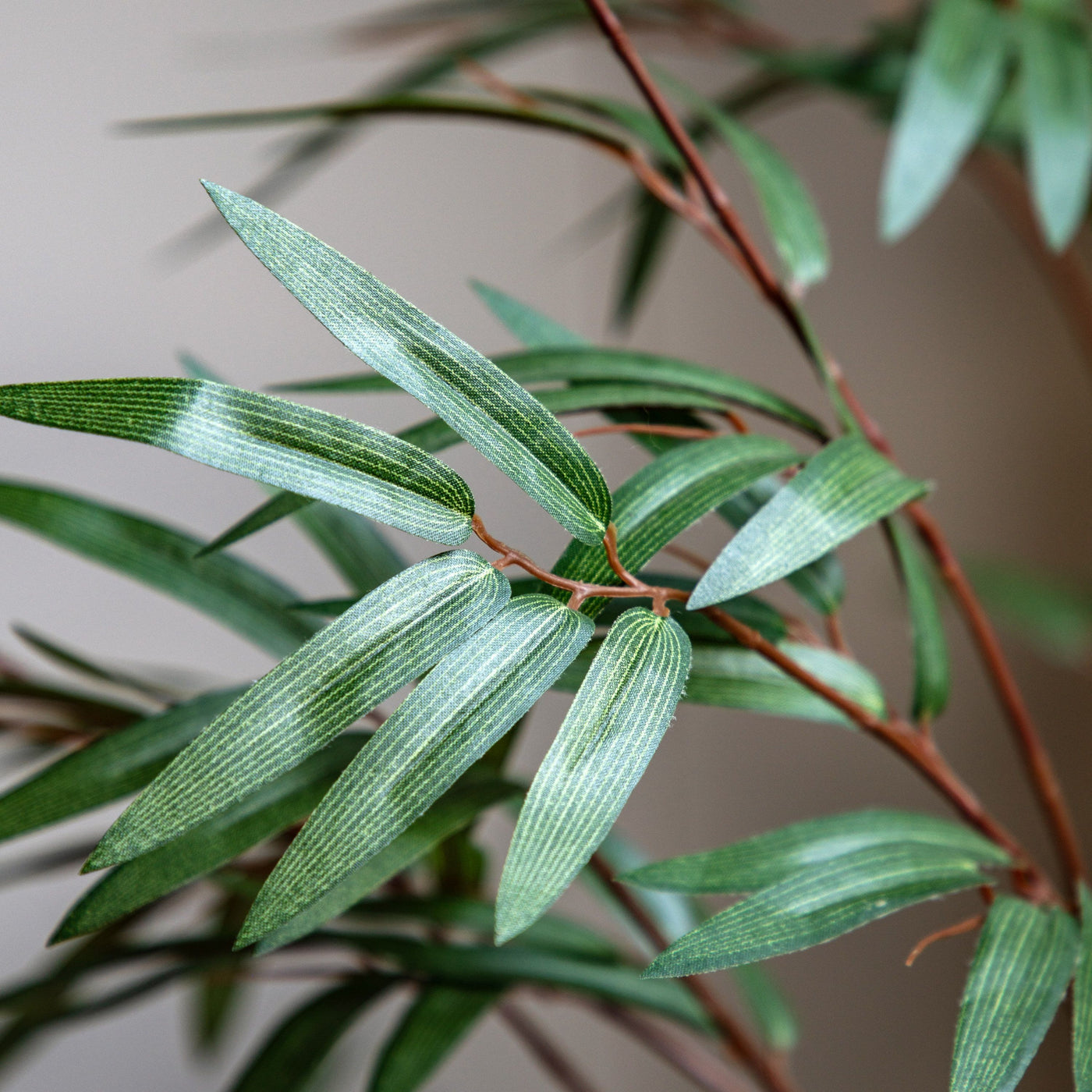 Potted Bamboo Tree Large