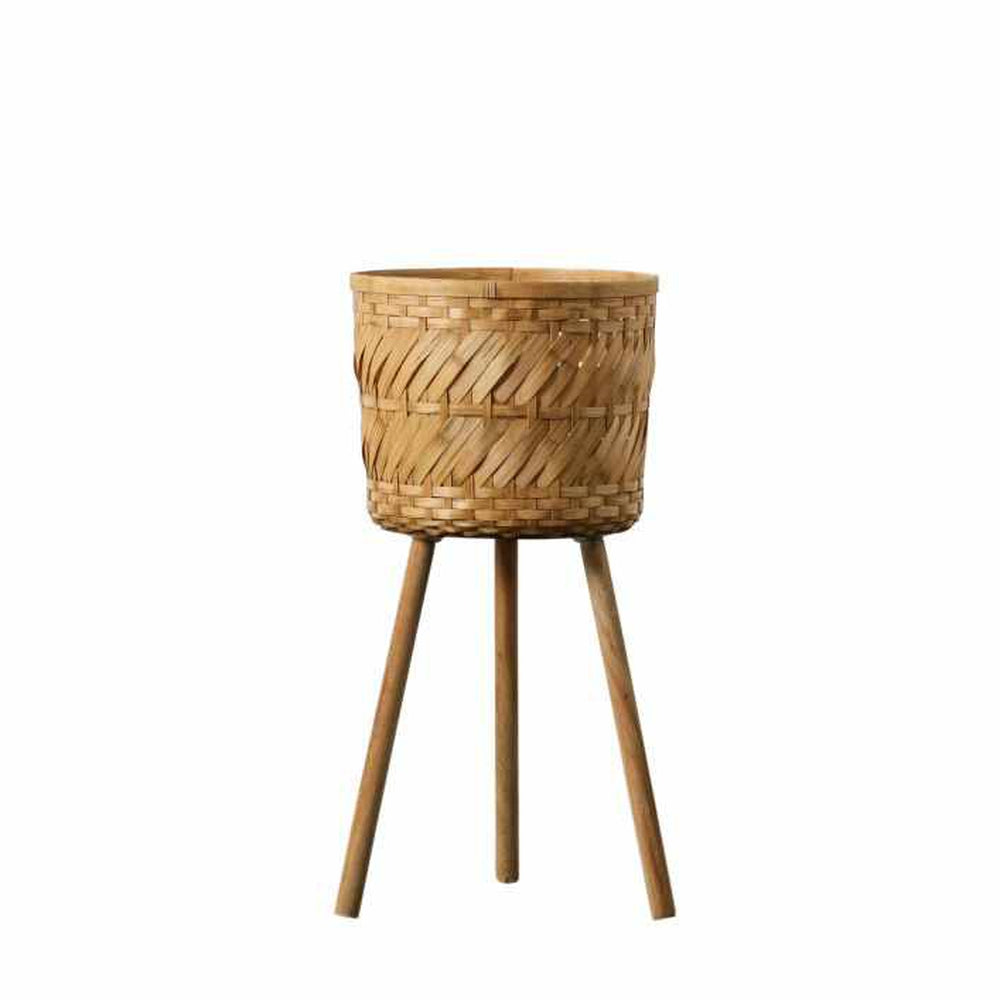 Ambon Planter Pack