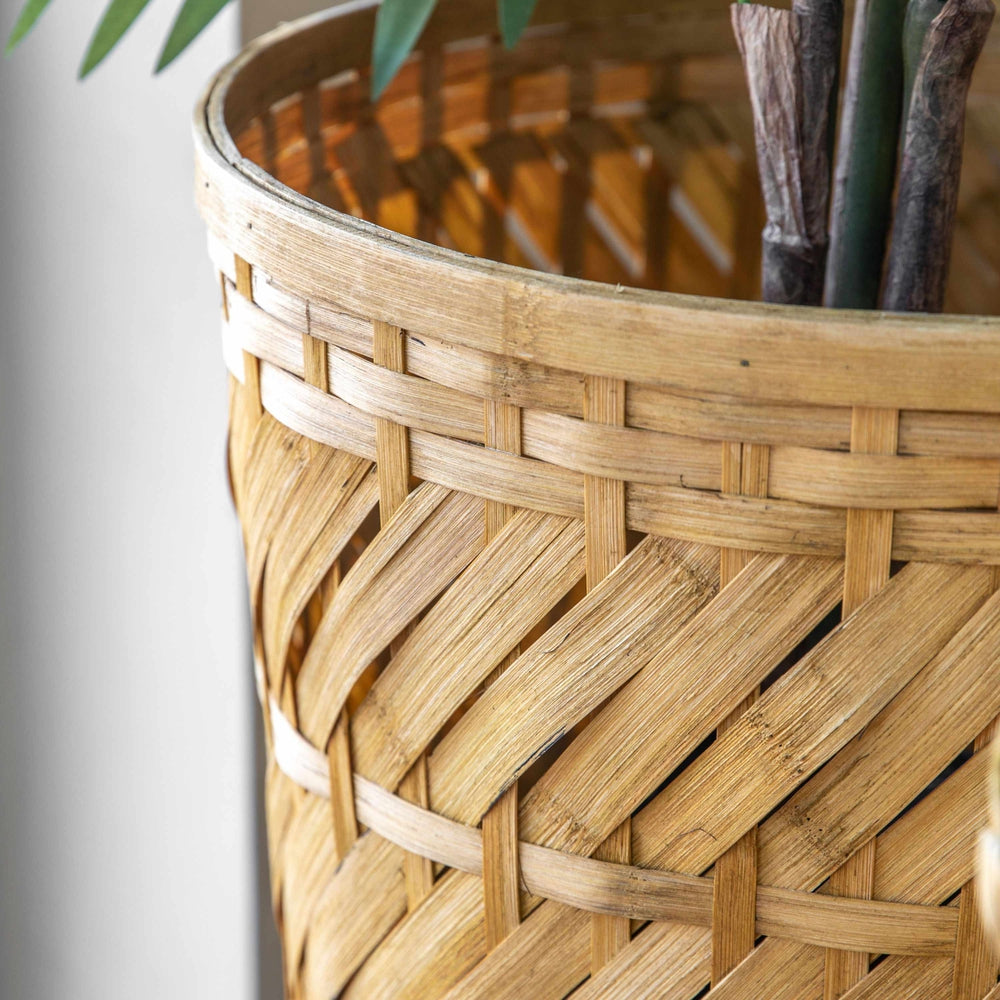 Ambon Planter Pack