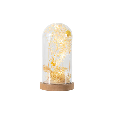 x3 Dry Flora Dome with LED Cream