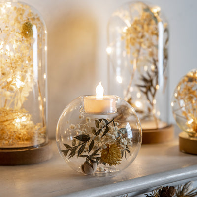 x3 Dry Flora Dome with LED Cream