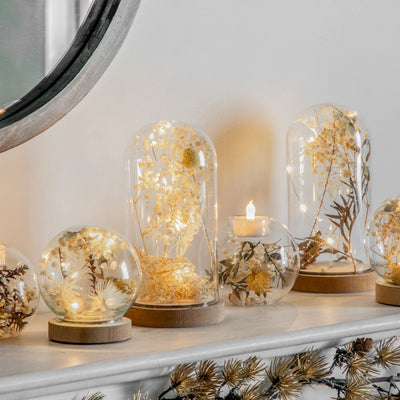 x3 Dry Flora Dome with LED Cream
