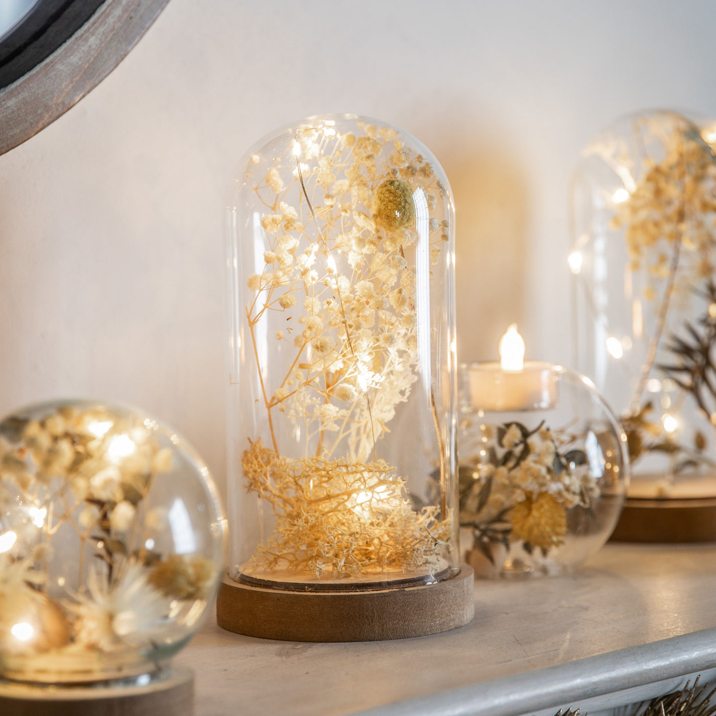 x3 Dry Flora Dome with LED Cream