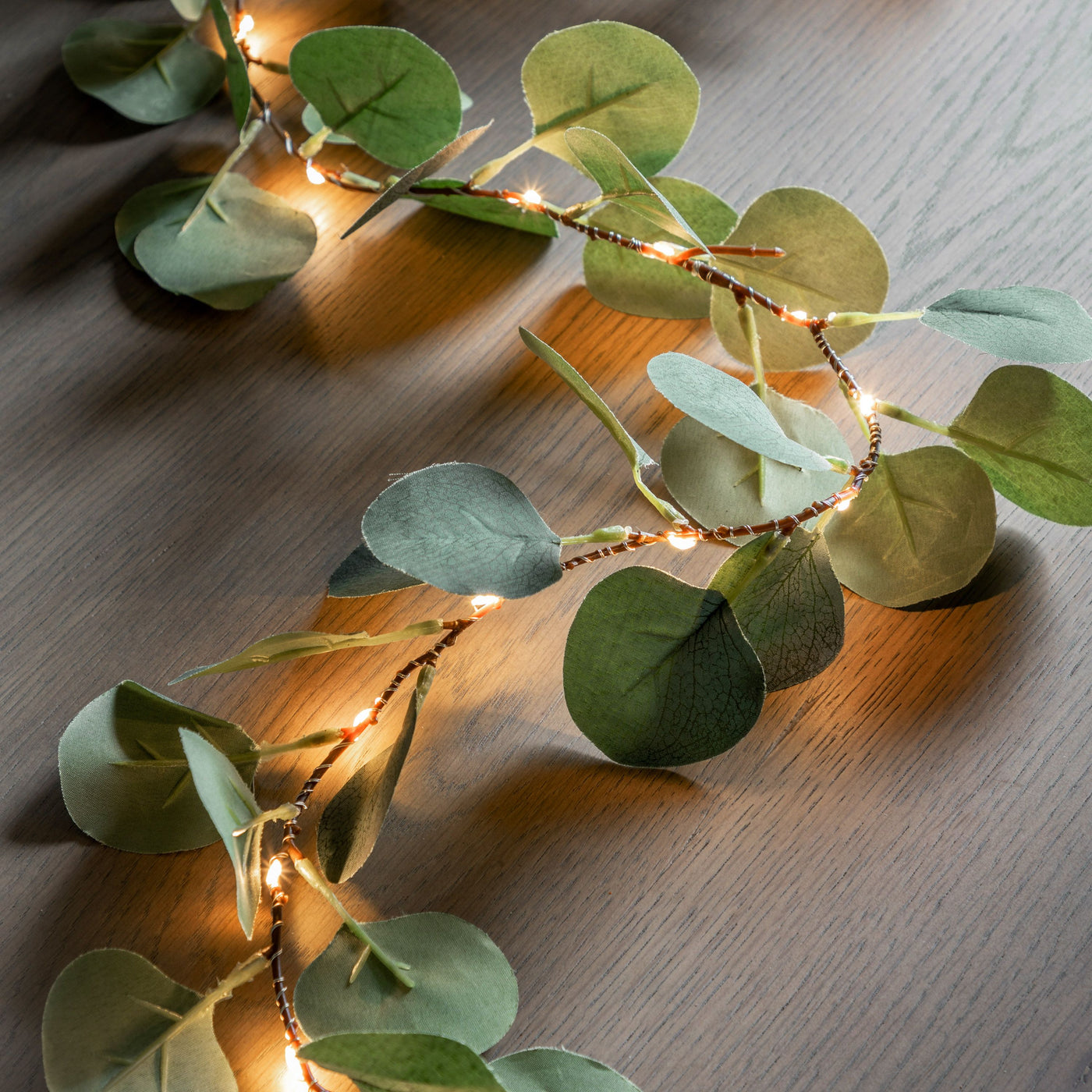 2x Eucalyptus Garlands 20 LED Lights