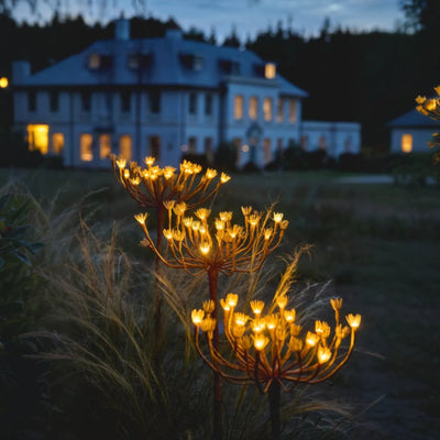 x24 Wild Fennel Lights