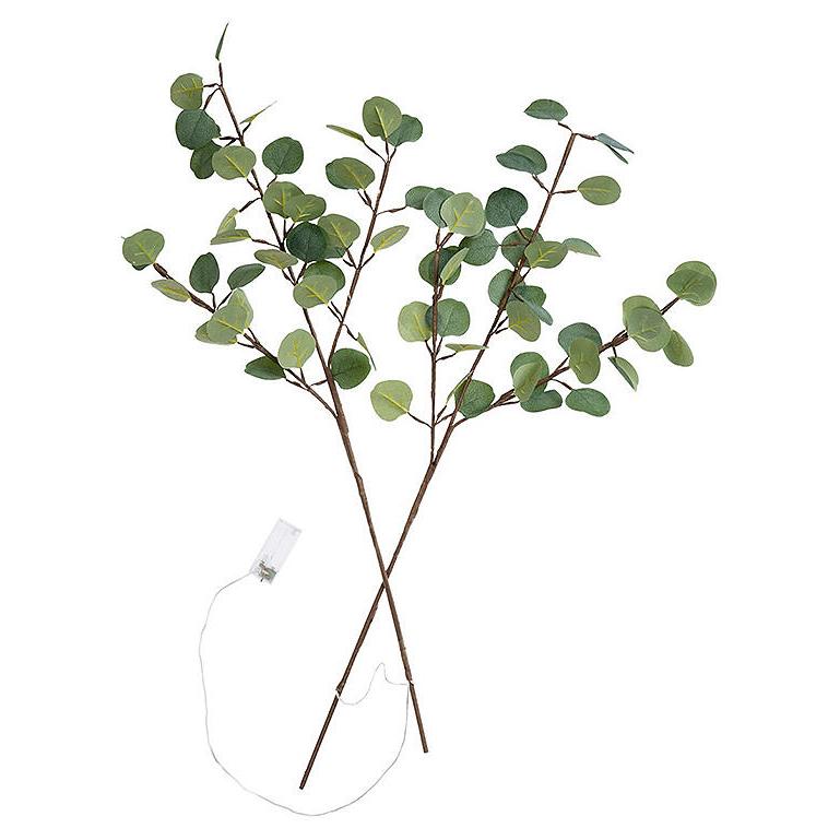 Eucalyptus Branch With Lights