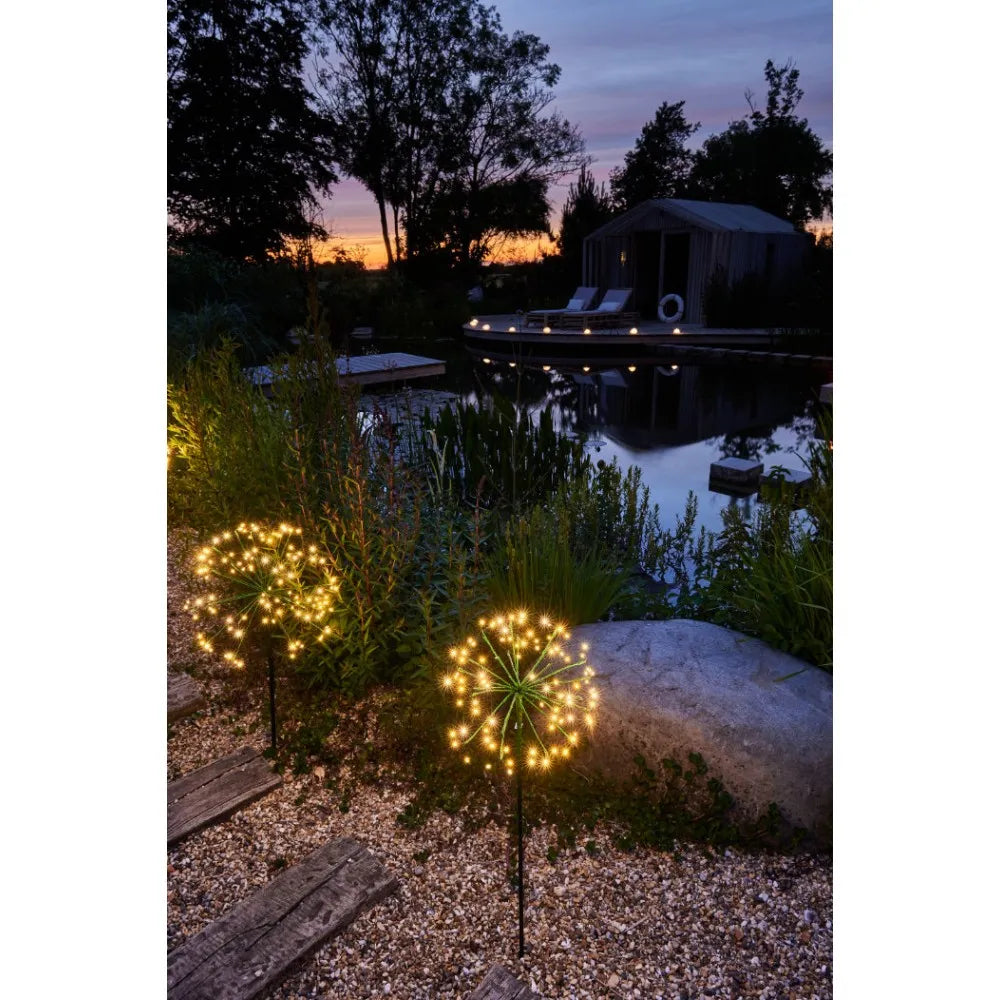 x12 Solar Dandelion Green Pack