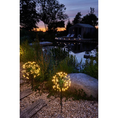 x12 Solar Dandelion Green Pack