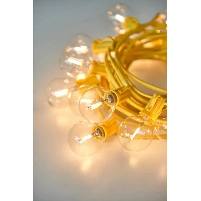 Festoon Yellow