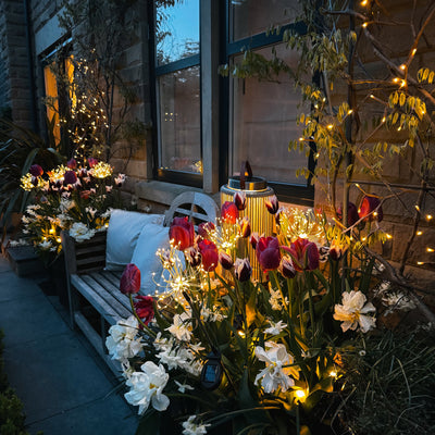 x6 Solar Starburst Poppy & x2 Solar Ivy x2 Solar Mushroom Lights