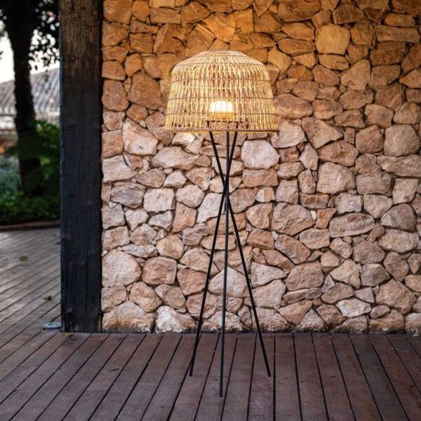 Amalfi Battery Cherry Bulb