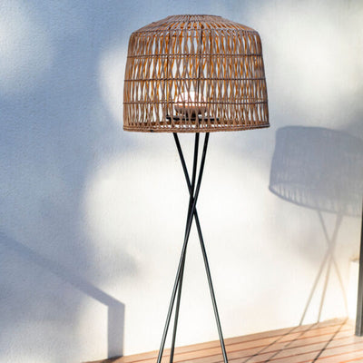 Amalfi Battery Cherry Bulb