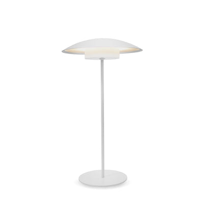 Sardina Decorative White Lamp Large