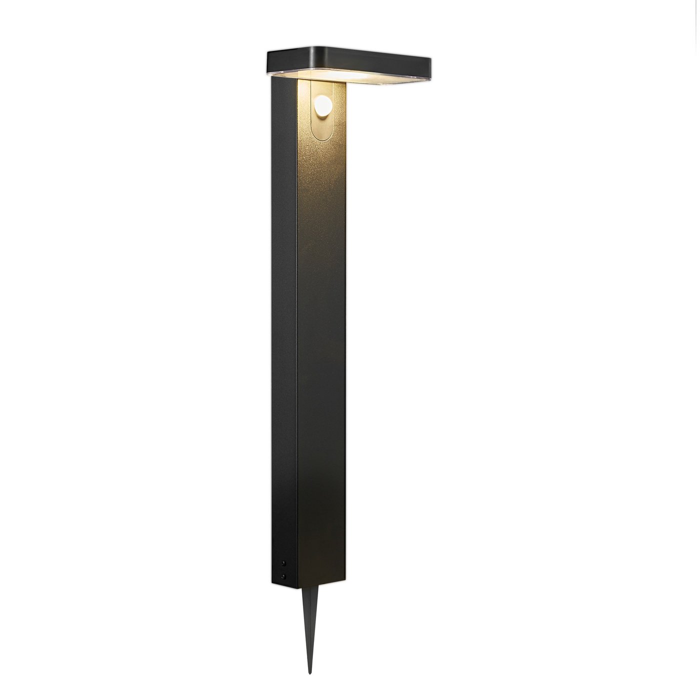 Rica Square Solar Garden Light Black