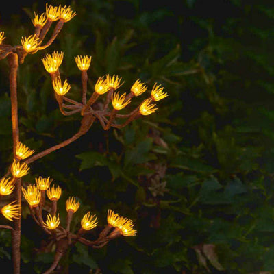 X12 Solar Giant Fennel Lights