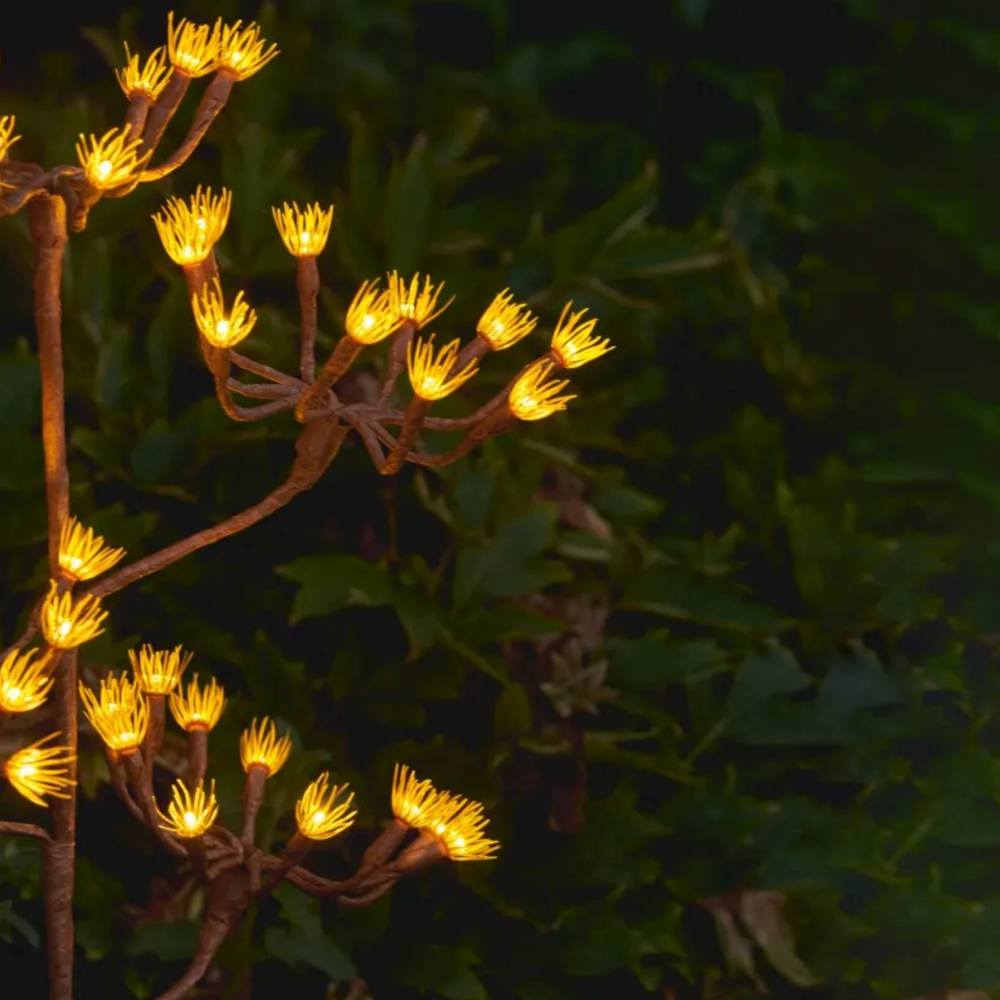 Solar Giant Fennel Light