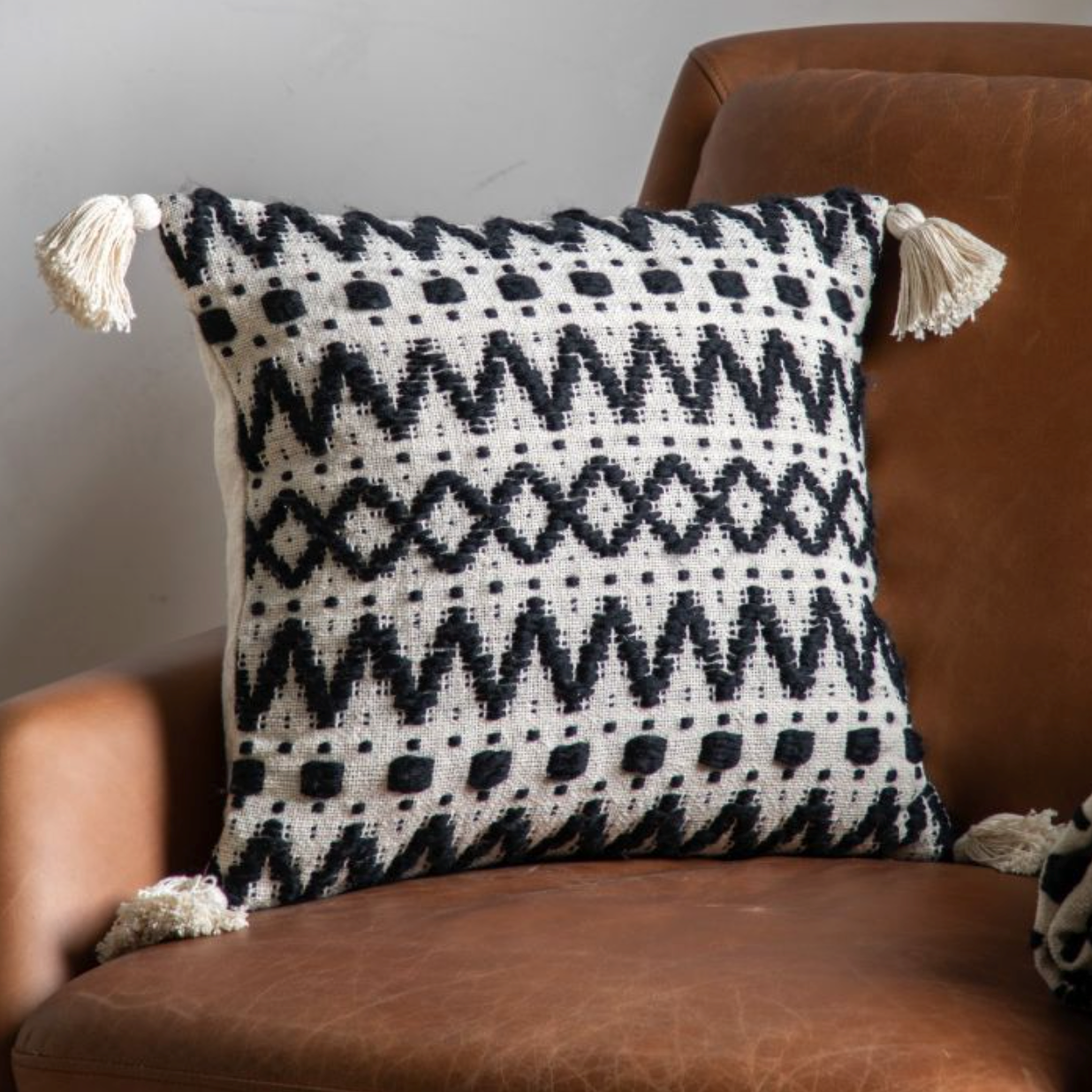 Tufted Cushion