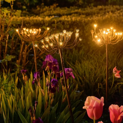 x6 Wild Fennel Lights