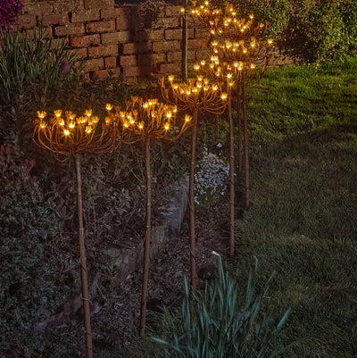 x6 Wild Fennel Lights