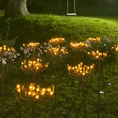 x6 Wild Fennel Lights
