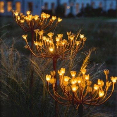 x24 Wild Fennel Lights