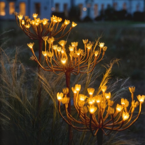 x6 Wild Fennel Lights
