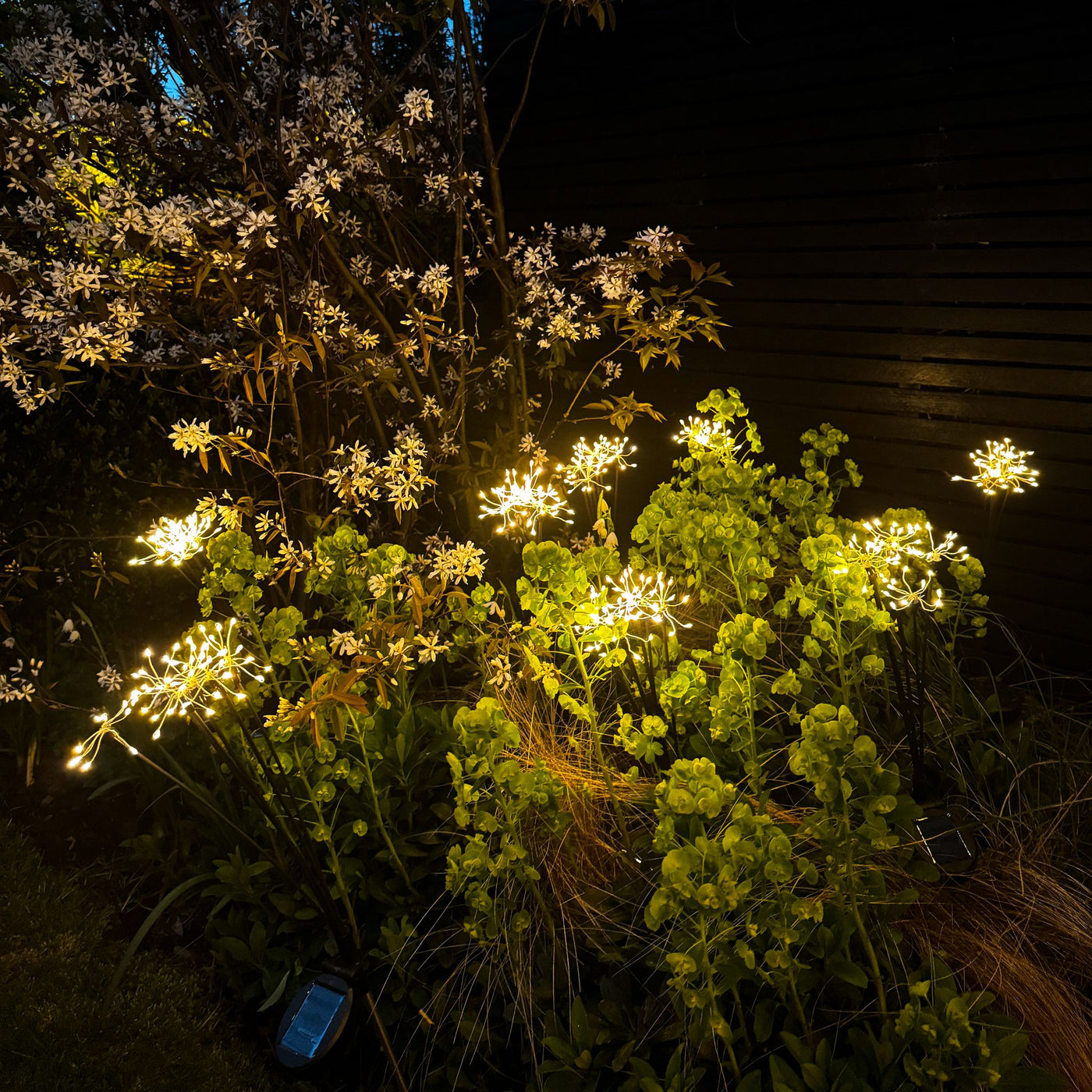 x8 Solar Starburst Cluster Stake Lights